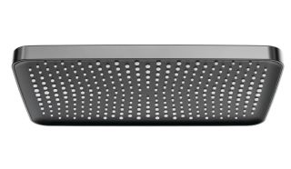 Верхний душ Raglo R451.52.09 34x22см графит